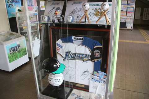 tokachishimizu_harmonyplaza_Fighters2