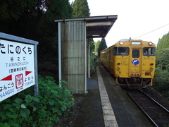 taninokuchi_home_forAburatsu