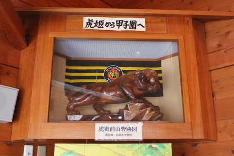 torahime_tigers