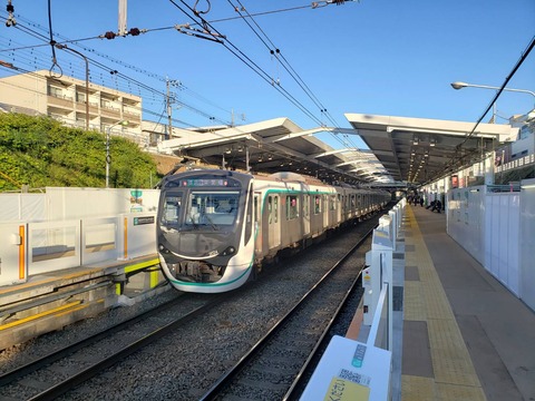 minamimachidagrandberrypark_home