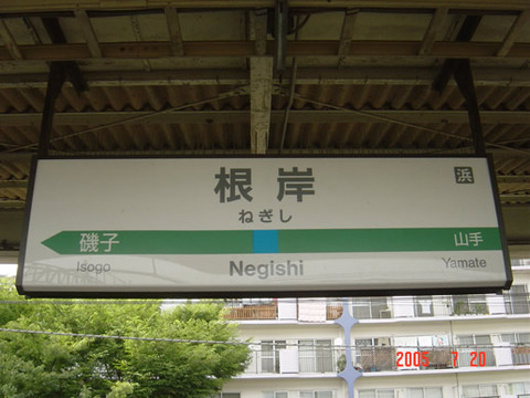 negishi