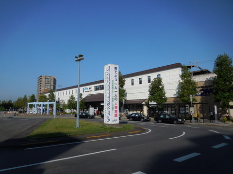 DSCN0924