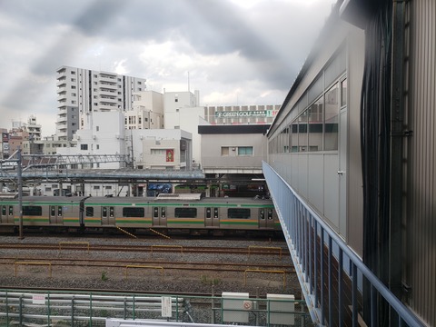 warabi_ue