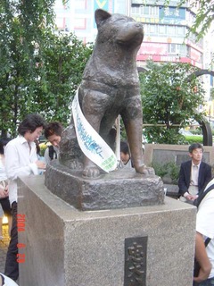 shibuya_hachidog