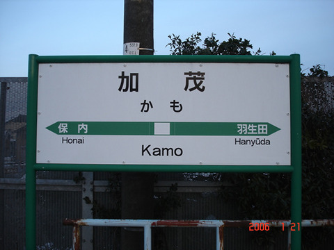 kamo