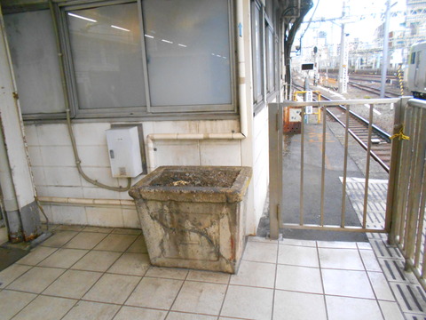 tamachi_korenani