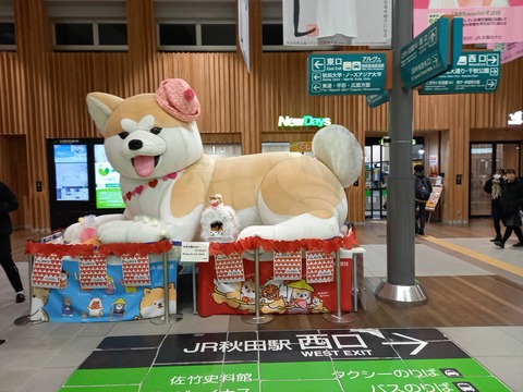 akita_akio