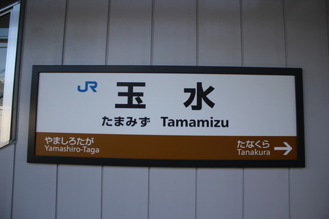 tamamizu