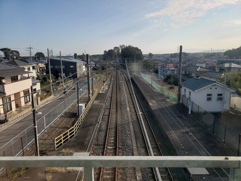 musashitakahagi_zenkei