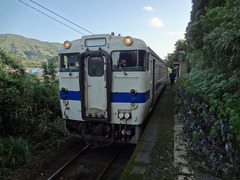 taninokuchi_home_forShibushi