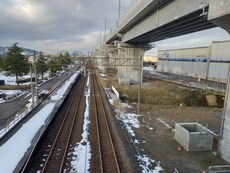 echizenhanando_konai2