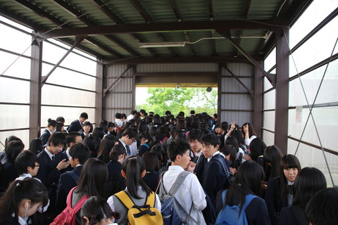 taisei_rush
