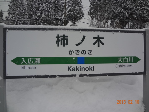 kakinoki