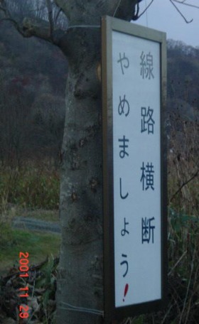 kojohama_info