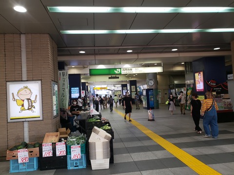 koenji_tsuro