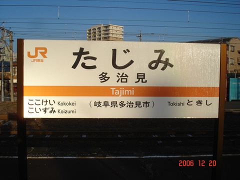 tajimi