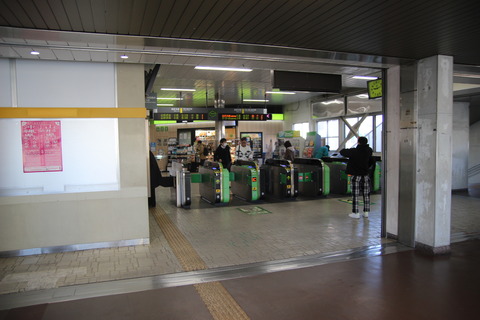 tsuga_kaisatsu