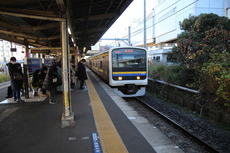 tsuga_home1_forChiba