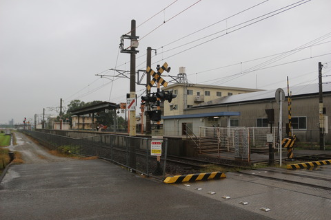 tayoshi_zenkei