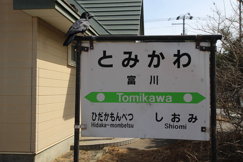 tomikawa