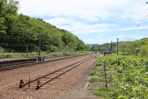 kozawa_konai1