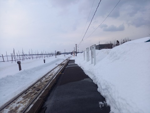 tsugaruiizume_konai2