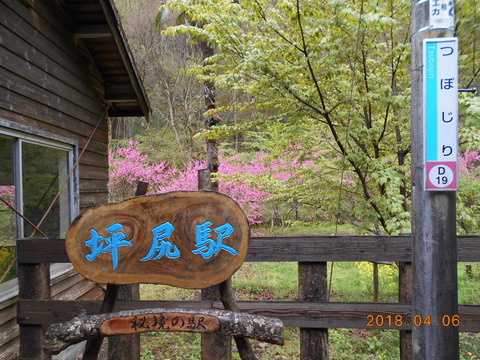 tsubojiri_kanban2
