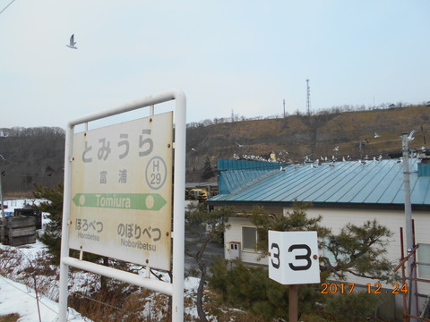 tomiura_bird