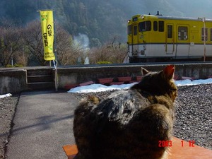 20030112yasuno_arrived