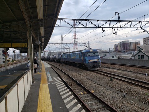 shitte_JRF