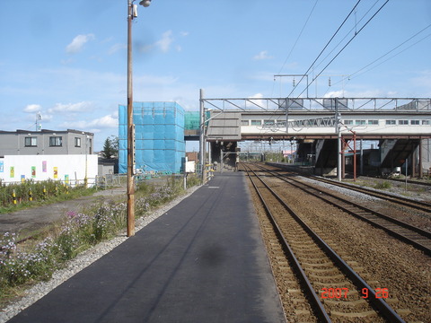 DSC03908