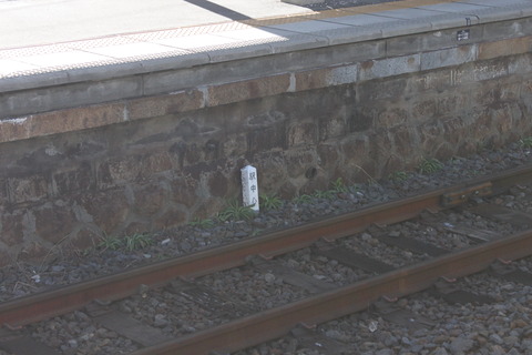 inashi_chushin