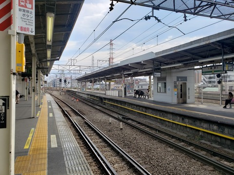 shitte_konai