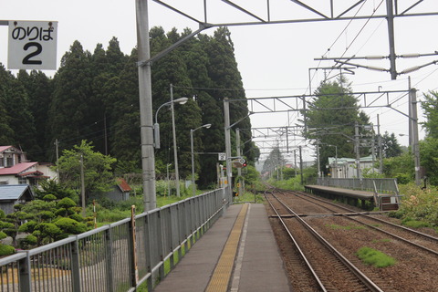satsukari_koni_1