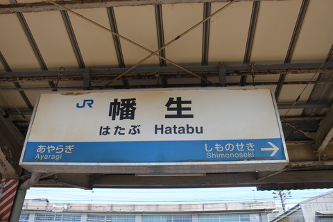 hatabu_sanin