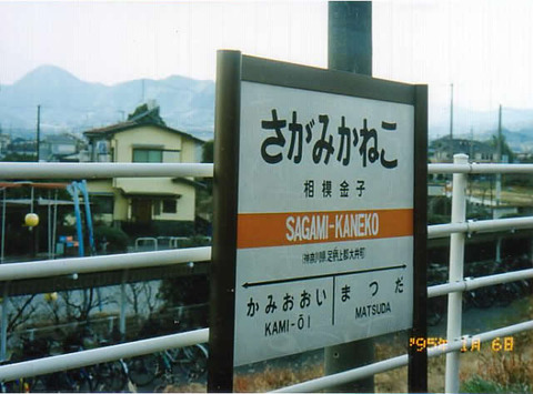 sagamikaneko