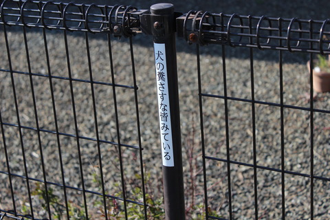 isuzugaoka_sasuna