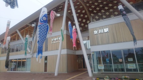 onagawa_koinobori