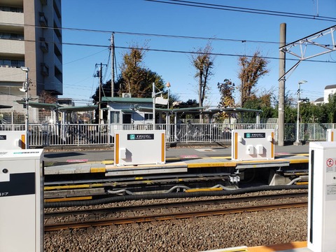 suzukakedai_churinjo