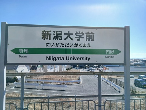 niigatauniversity