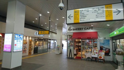 shinkemigawa_ekinaka