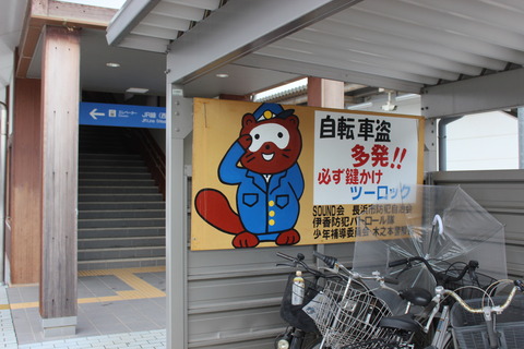 kinomoto_tanuki