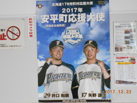 hayakita_fighters