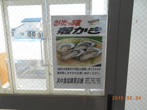 hamanaka_kaki