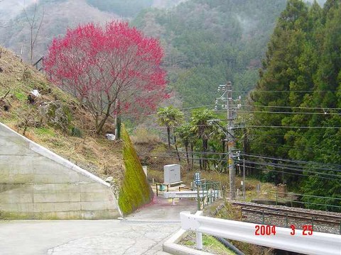 nakaisamurai_exit1_2