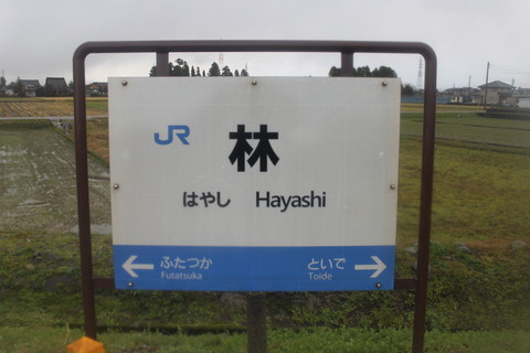 hayashi