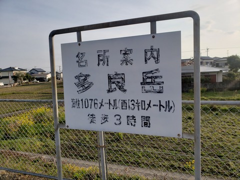 tara_meisho