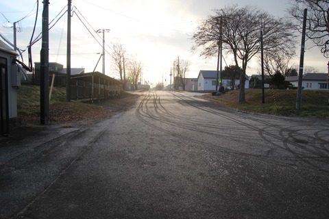 toasa_soto