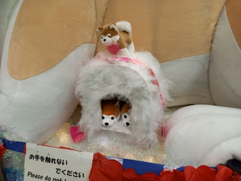 akita_akio_kamakura