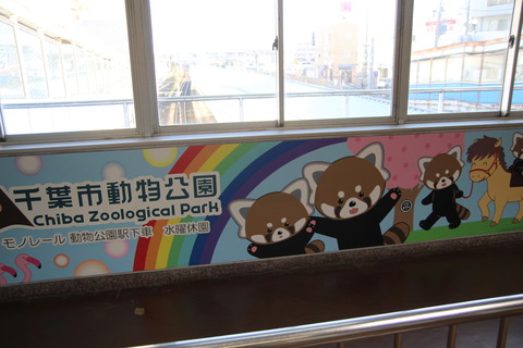 tsuga_zoo